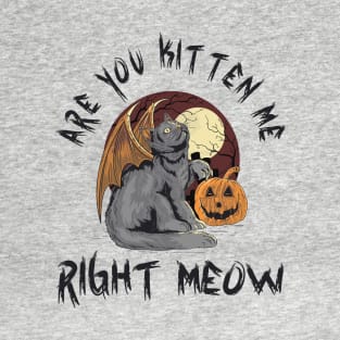 Are You Kitten Meow Right Now - Funny Halloween Cat Pun, Halloween Cat Humor, Halloween Cat Quote, Dark Night Grave Grim Design Funny Gift Idea For Cat Lover T-Shirt